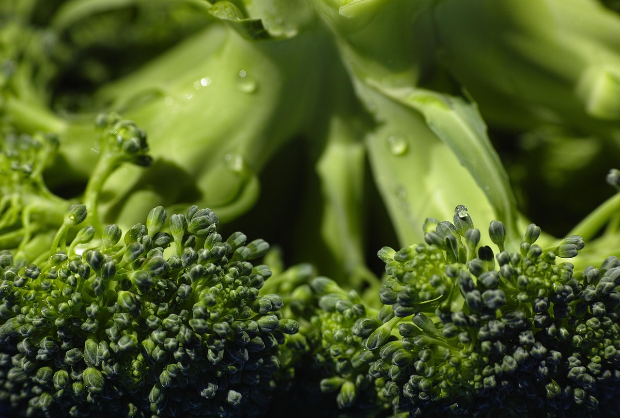 Alimentos ultraprocesados: cómo identificarlos y reducir su consumo